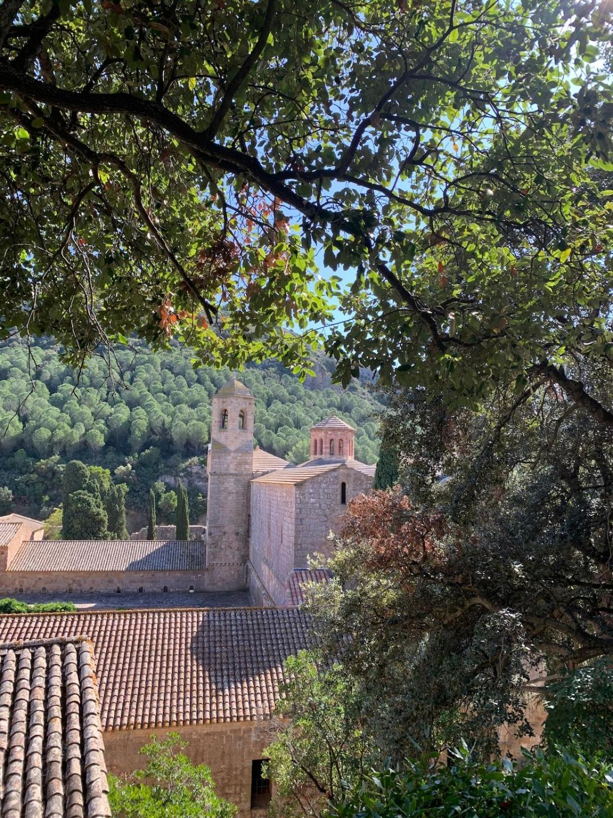 Maison De Centre De Narbonne